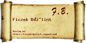 Ficzek Bálint névjegykártya